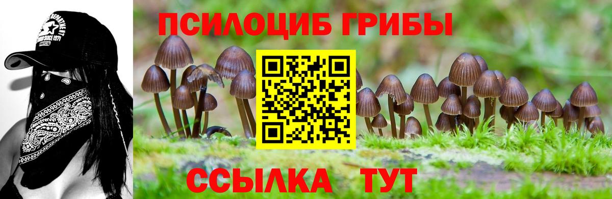 Челябинск  Псилоцибиновые грибы Psilocybine cubensis  Вход с VPN 